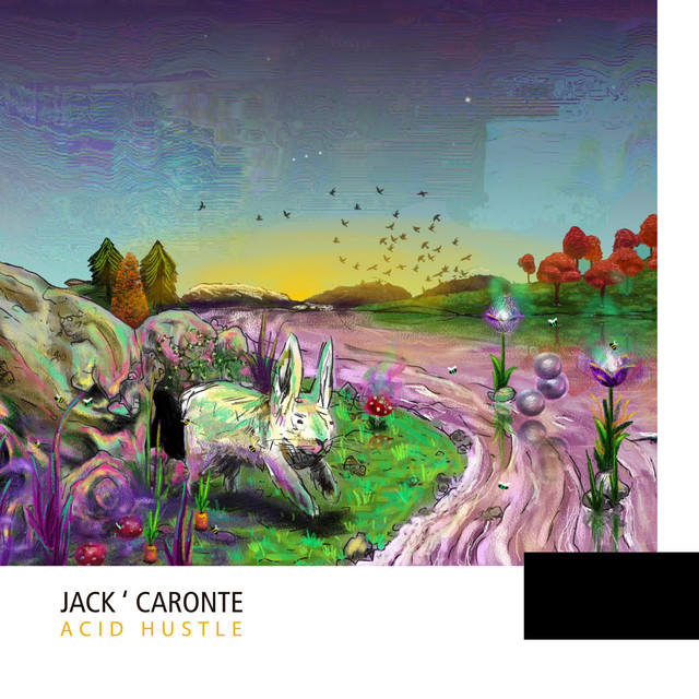 Acid Hustle cover art