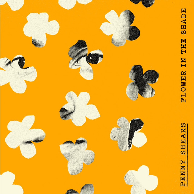 Flower In The Shade cover