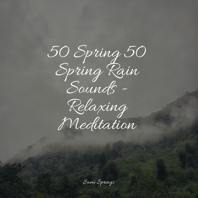 50 Ultimate Relaxation Rain Tracks - Album by Amazing Spa Music | Spotify