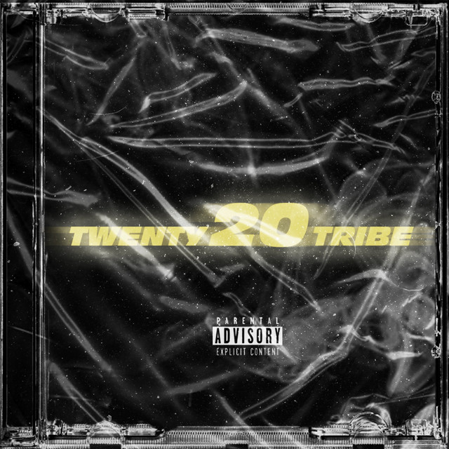 Twenty20Tribe cover art