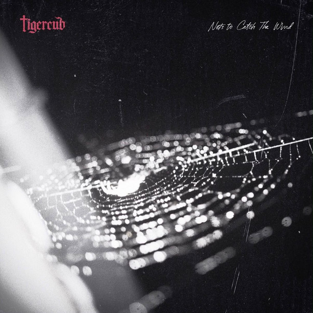 Nets to Catch the Wind (Deluxe)
