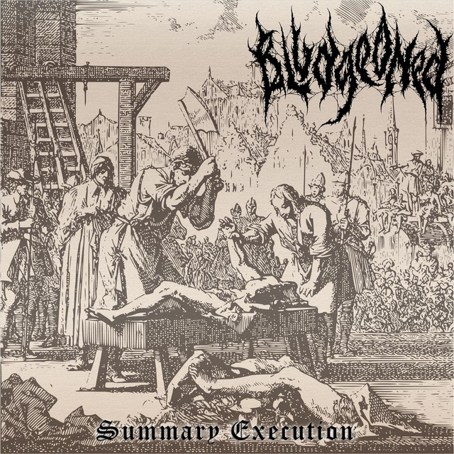 Summary Execution cover art