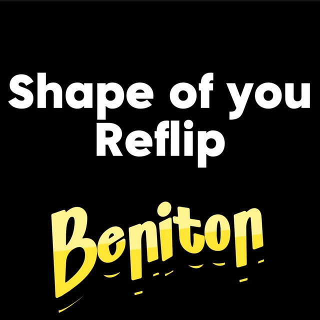 Shape of you reflip cover