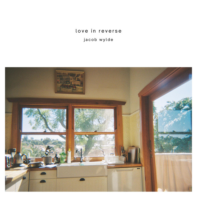 Why Don't You Hate Me? cover art