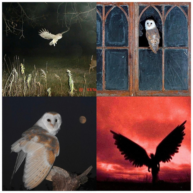 Yıldırımlar! cover art