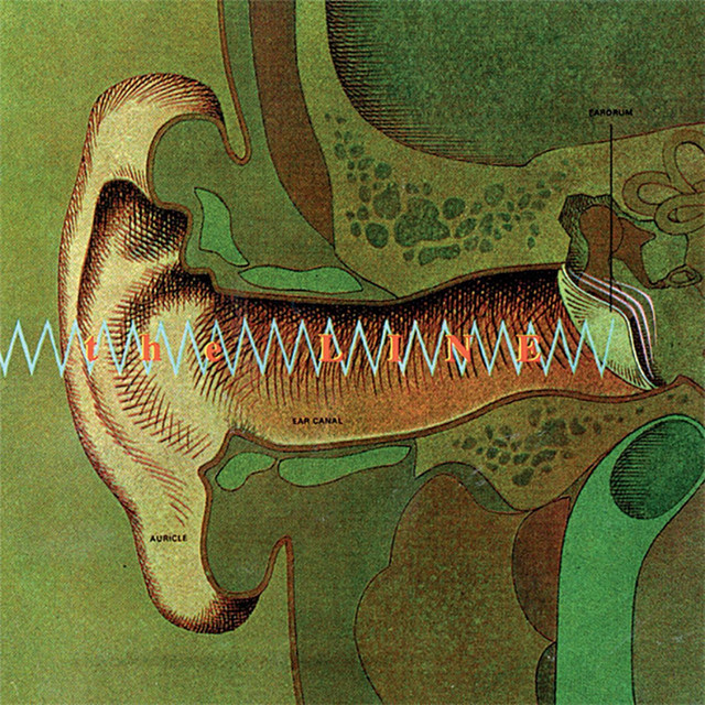 Auricle cover