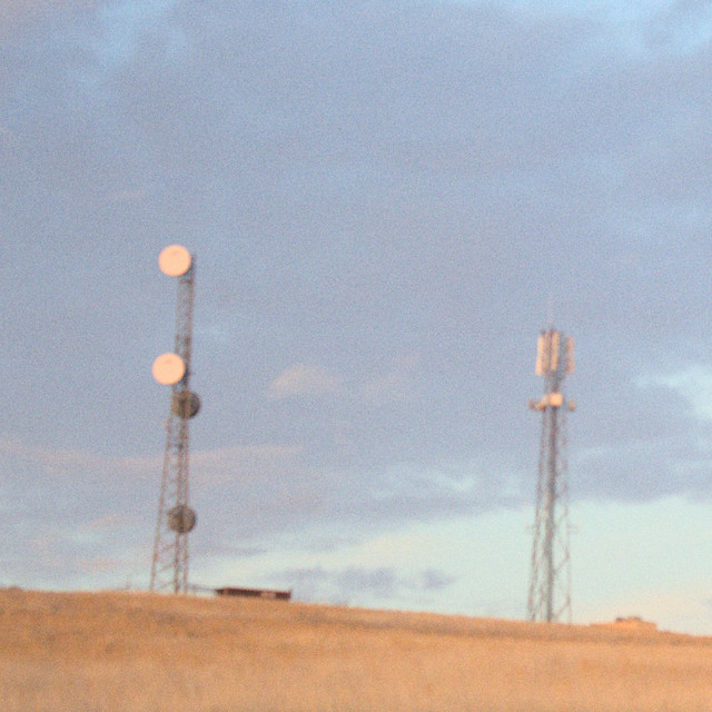 Signal cover art