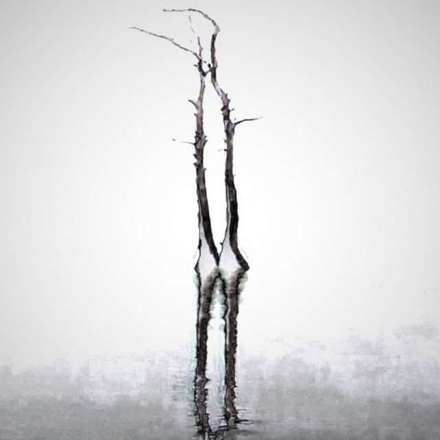 ScanD Vol II cover art