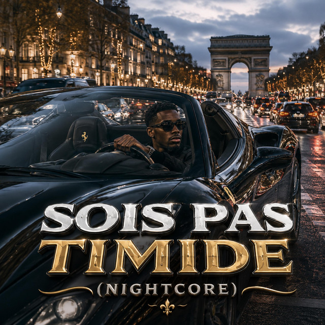 Sois Pas Timide - Nightcore