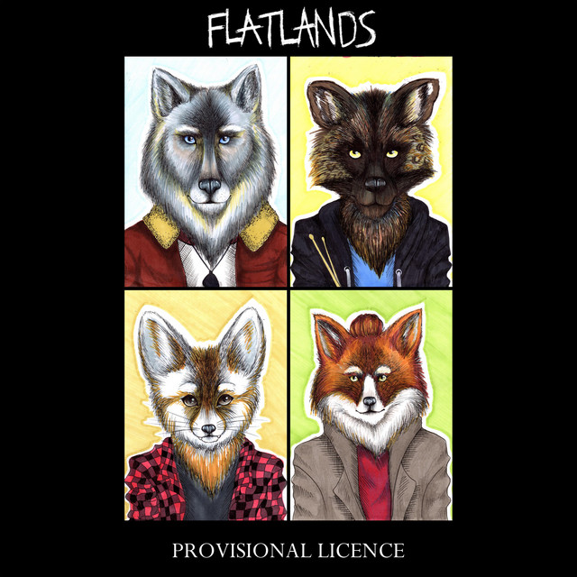 Provisional Licence cover