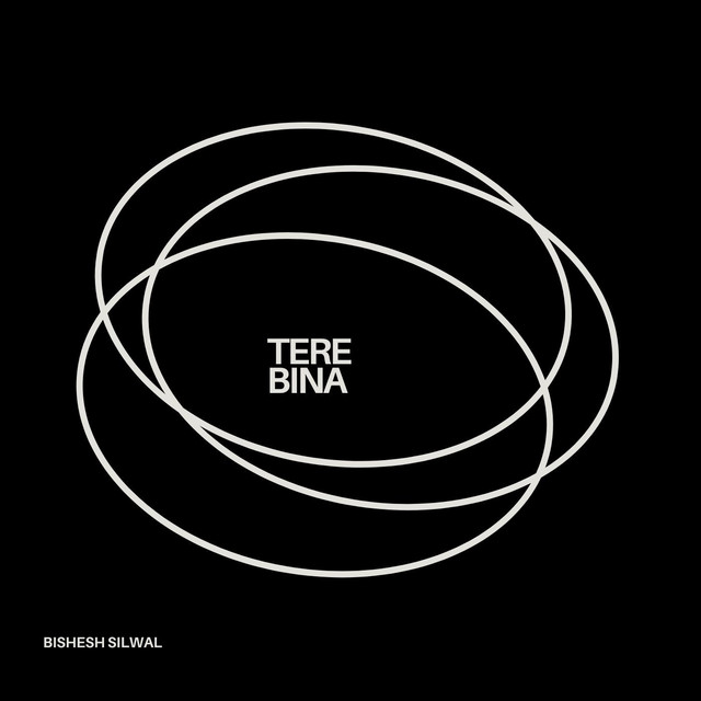 Cover image of Tere Bina