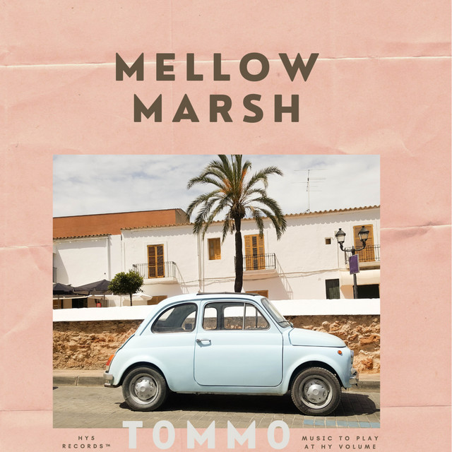 Mellow Marsh - Single by T0MM0 | Spotify