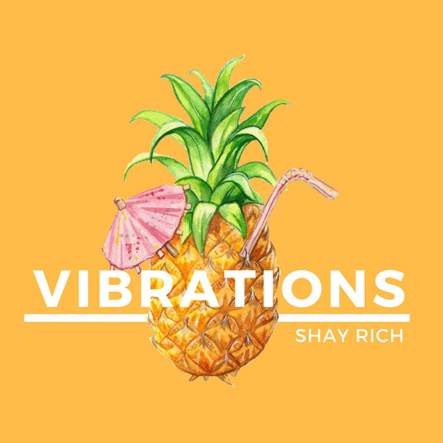 Vibrations - Single by Shay Rich | Spotify