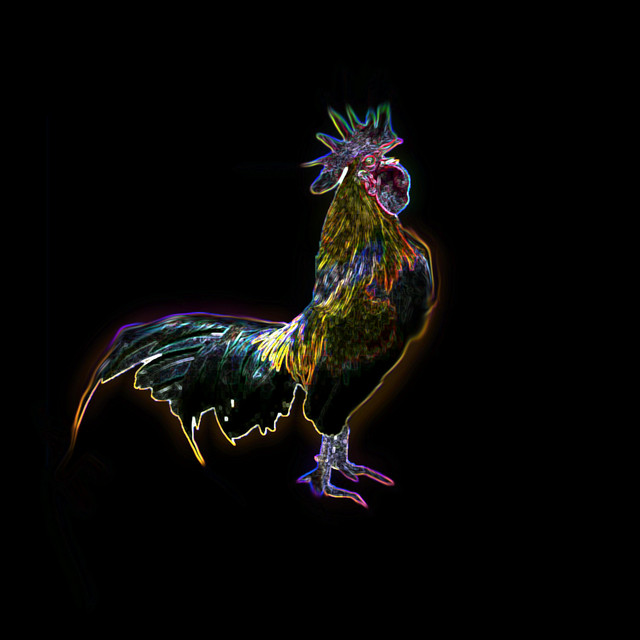 Crow cover art