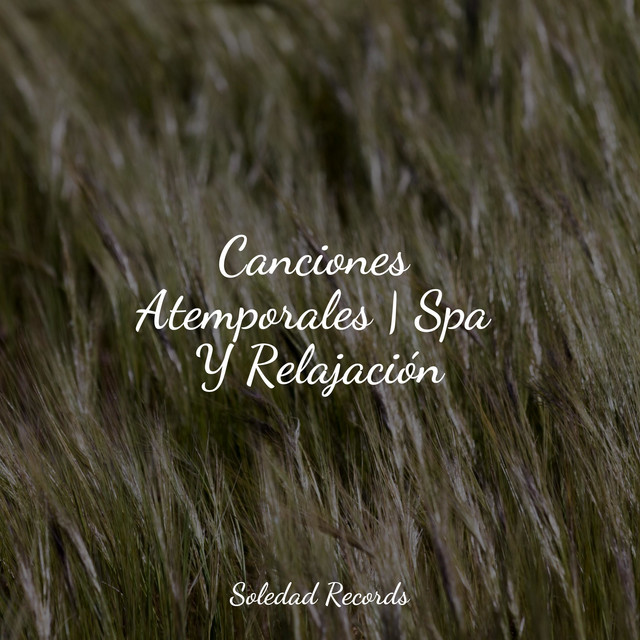 Canciones Atemporales | Spa Y Relajación