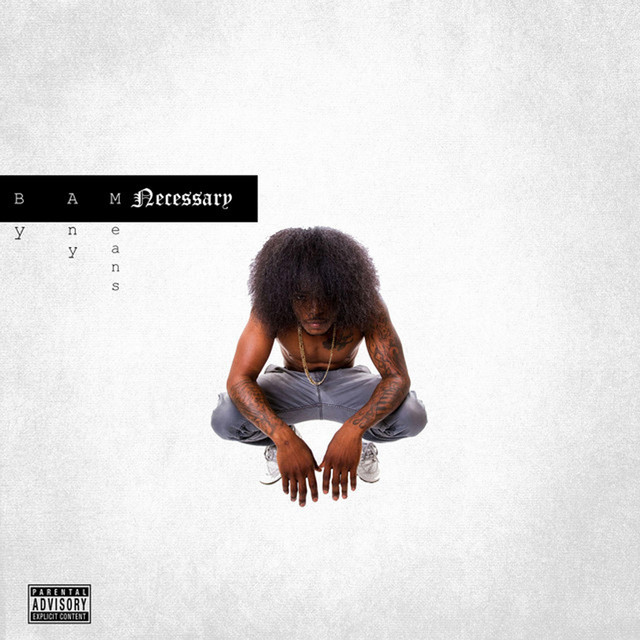 BAM Necessary (By Any Means) cover art
