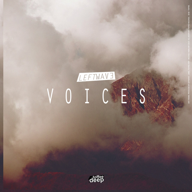 Обкладинка: Voices — LeftWave
