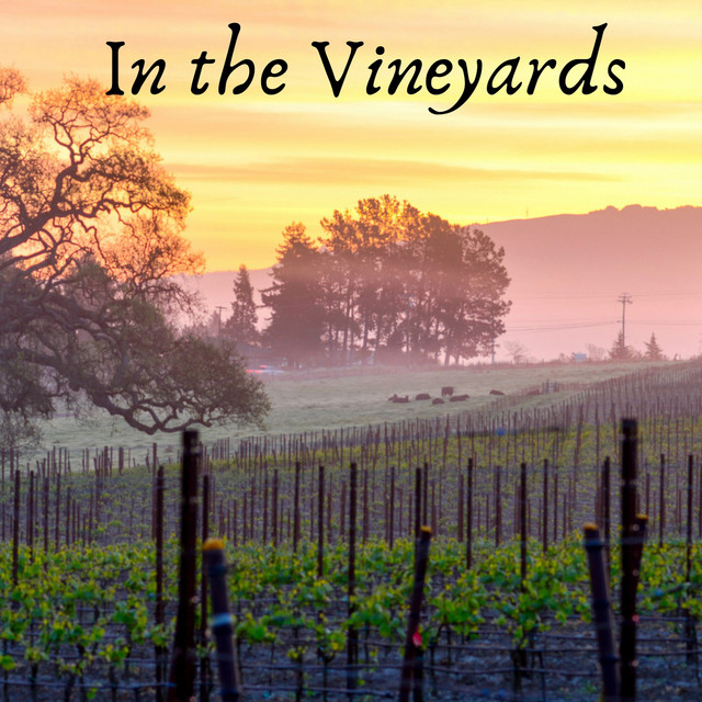 In the Vineyards cover art