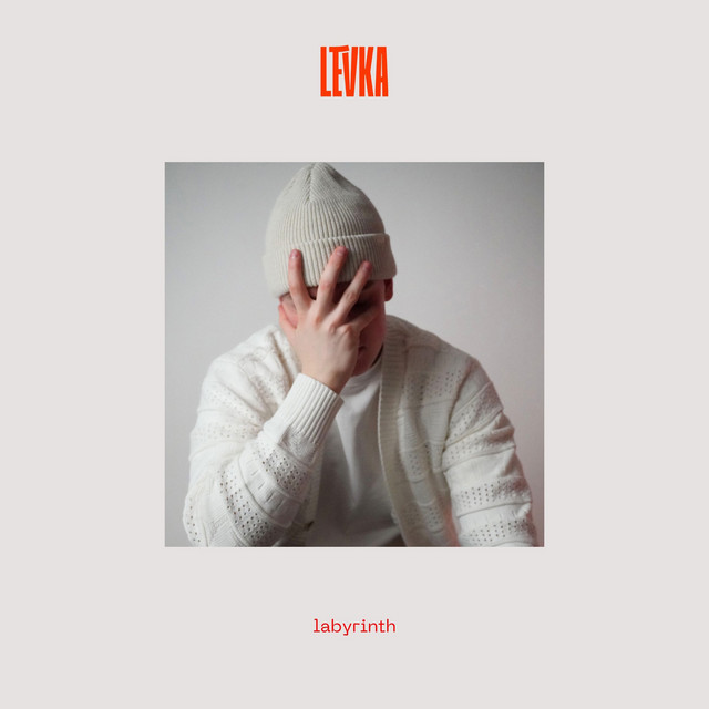 labyrinth cover art