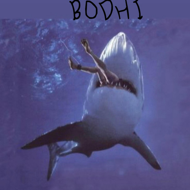 Bodhi cover art