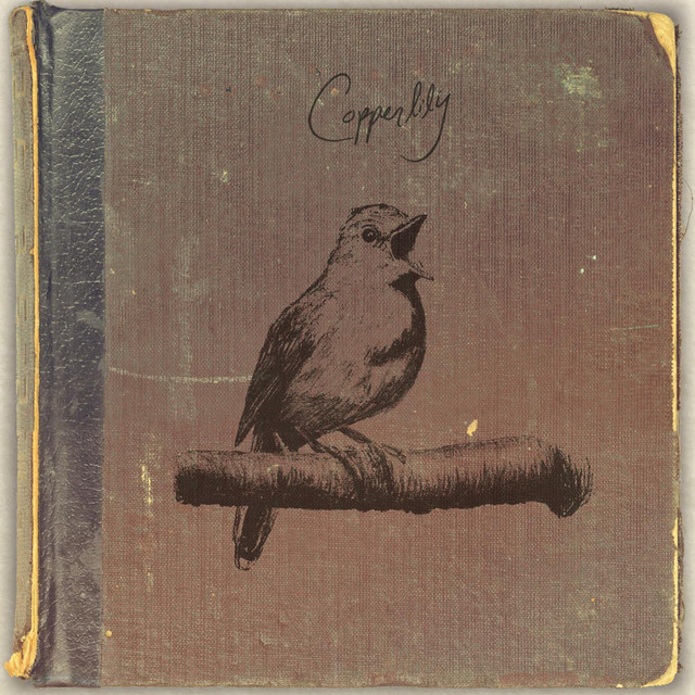 Copperlily cover art