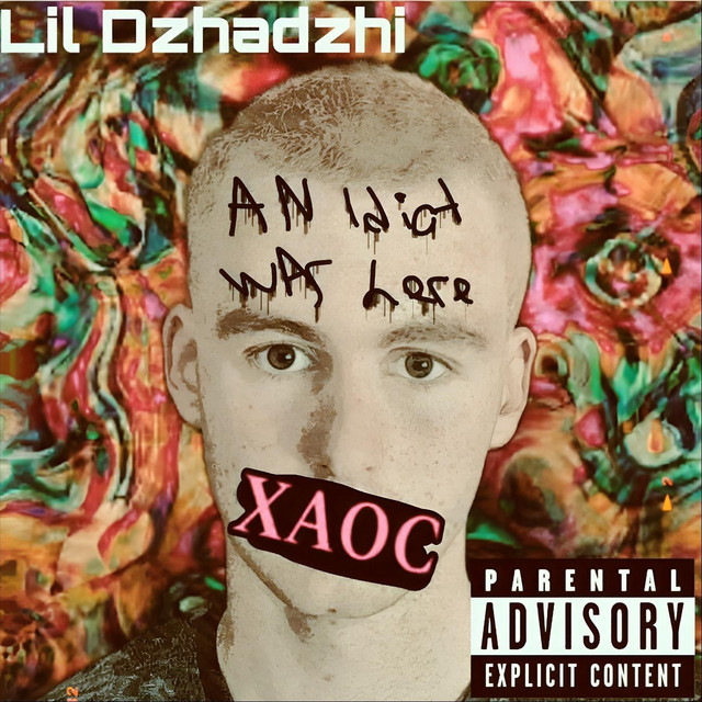 Хаос cover art