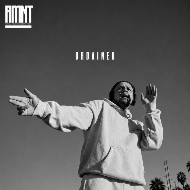 DONT BE DUMB! cover art