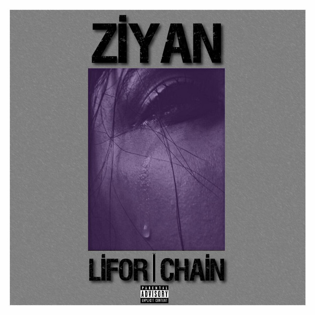 ZİYAN cover art