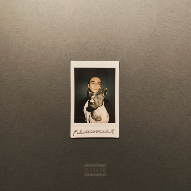 Ремиссия cover art