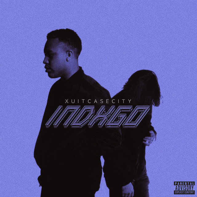 Indxgo cover art