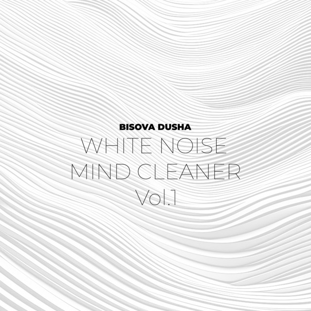 Обкладинка BISOVA DUSHA — White Noise Mind Cleaner, Vol.1