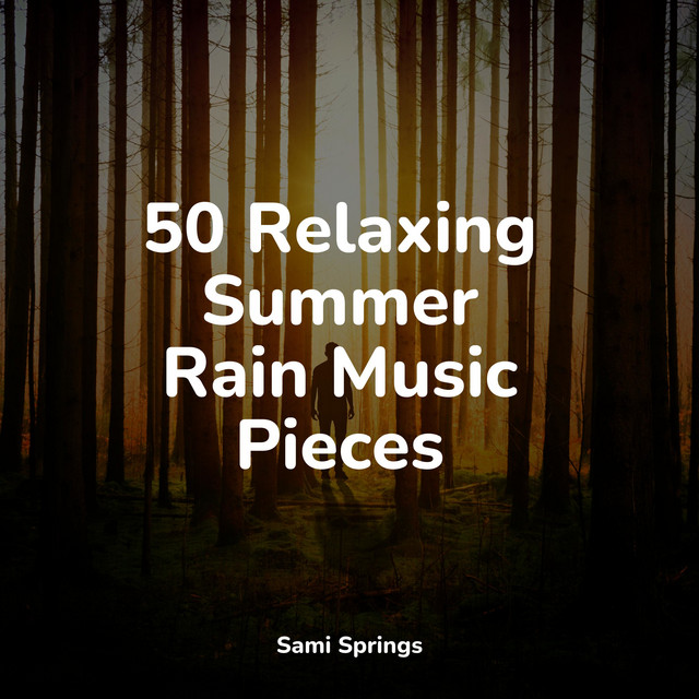 50 Relaxing Summer Rain Music Pieces - Album by Ocean Waves For Sleep ...