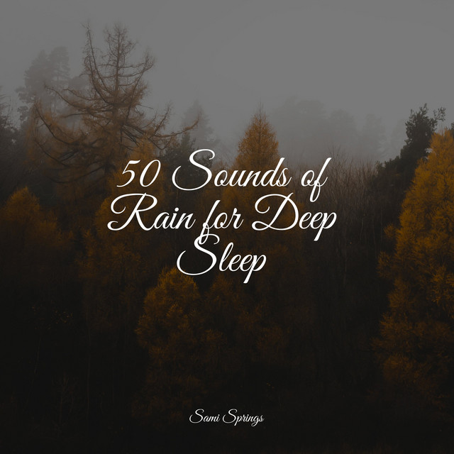 50 Sounds of Rain for Deep Sleep - Album by Exam Study Classical Music ...