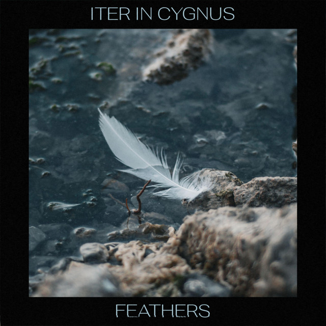 Feathers (single)