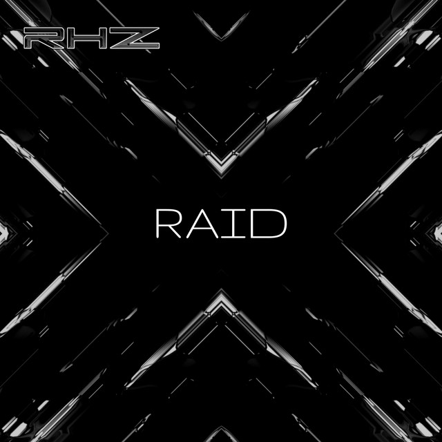 Raid cover art