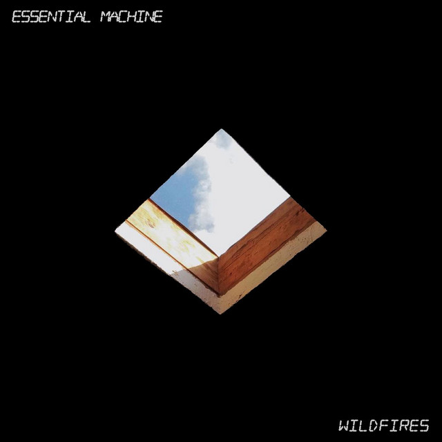 Wildfires cover