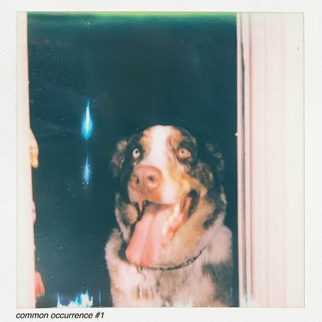 common occurrence #1 cover art