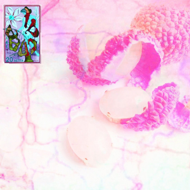 lychee cover art