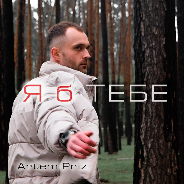 Обкладинка: Я б тебе — Artem Priz