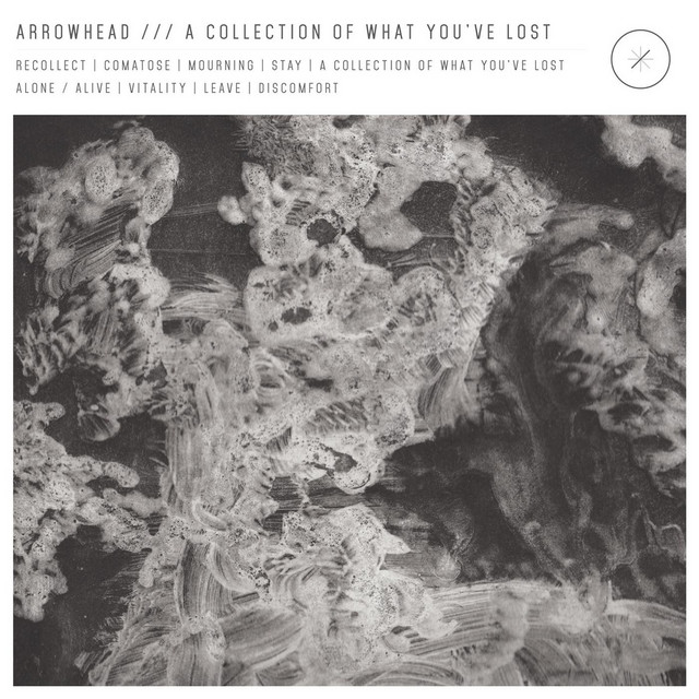 A Collection of What You've Lost cover art