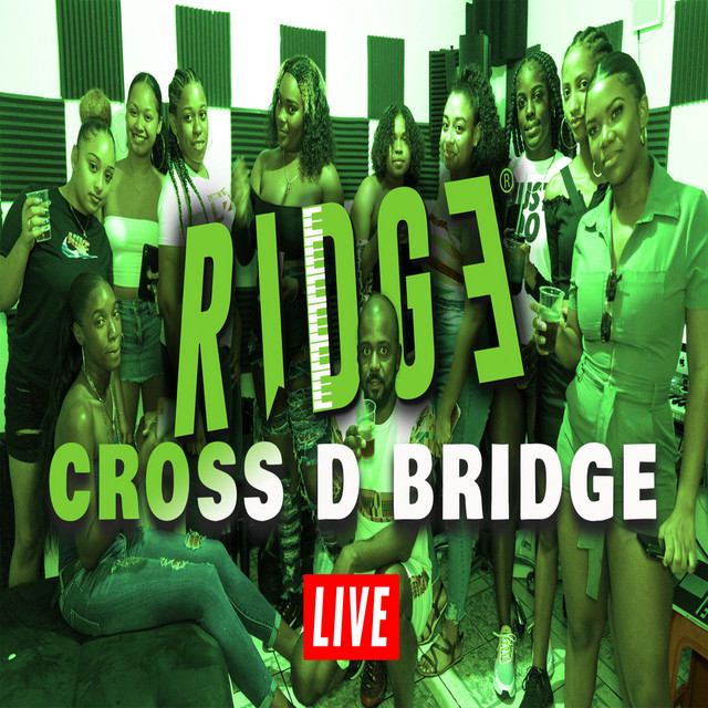 Cross D Bridge Live cover art