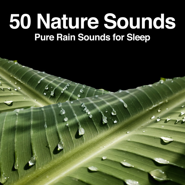 50 Nature Sounds: Pure Rain Sounds for Sleep - Album by Nature Sounds ...