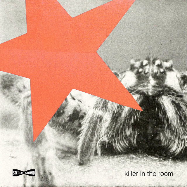 Killer In The Room album image