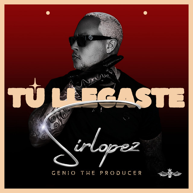 TÚ LLEGASTE