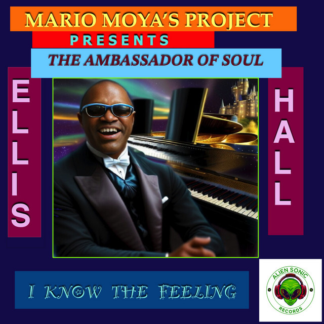 I know the feeling cover art