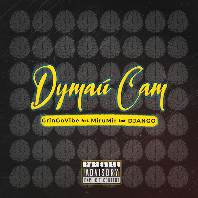 Обкладинка: Думай сам — GrinGoVibe