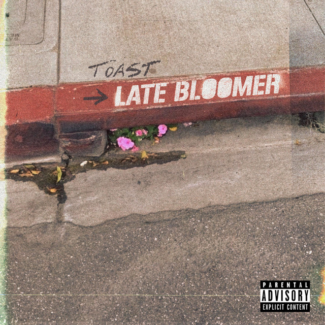 Late Bloomer cover art