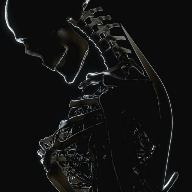 heartRACE