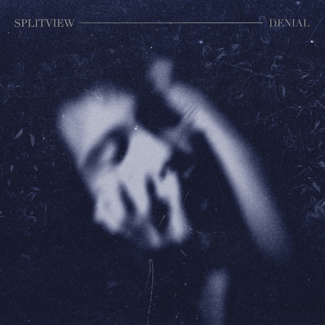 Denial cover art