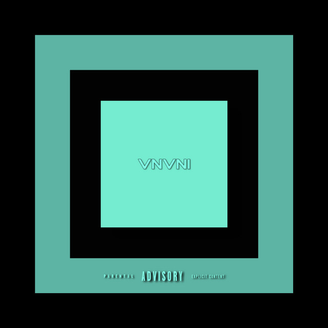 Você Nunca Viu Nada Igual (Vnvni) cover art